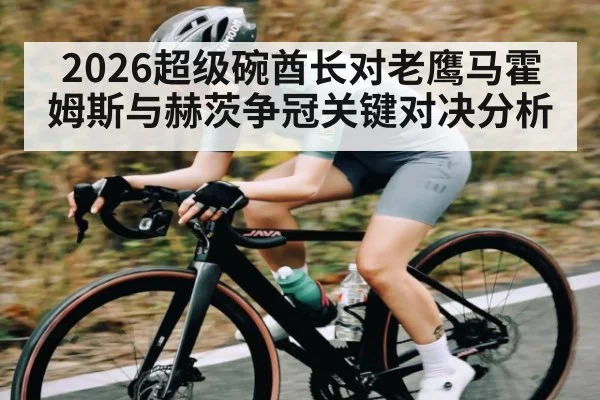 2026超级碗酋长对老鹰马霍姆斯与赫茨争冠关键对决分析