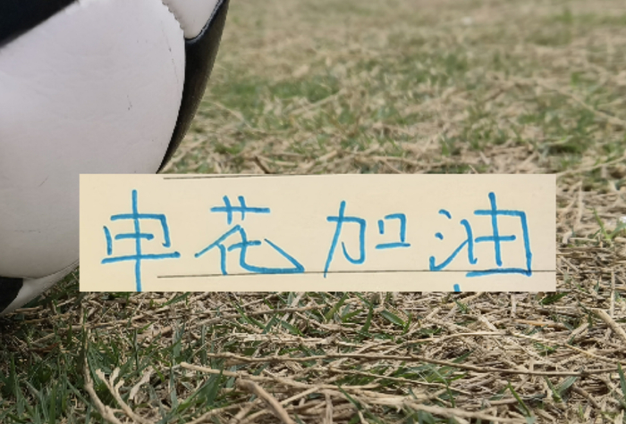 皇冠体育-如果没有罚分的话！申花应该是夺冠热门|上海申花|联赛|成都|中超|上海申花足球俱乐部_新浪体育_新浪新闻